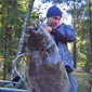 Sport Halibut